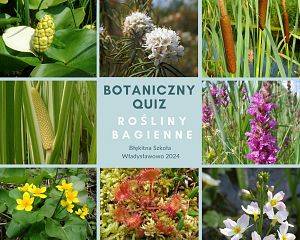 Grafika: Quiz: Czwartki z botaniką -