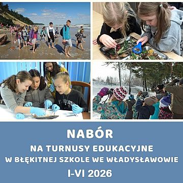 Turnusy edukacyjne w Błękitnej Szkole: I-VI 2026 Grafika Turnusy edukacyjne w Błękitnej Szkole: I-VI 2026