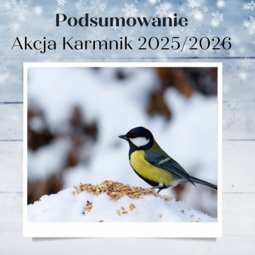 Akcja Karmnik 2025/2026 - podsumowanie Grafika Akcja Karmnik 2025/2026 - podsumowanie