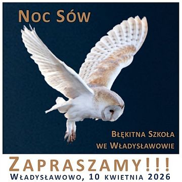 Zapraszamy na Noc Sów 2026 Grafika Zapraszamy na Noc Sów 2026