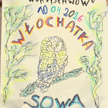 Relacja z Nocy Sów w Błękitnej Szkole Grafika Relacja z Nocy Sów w Błękitnej Szkole